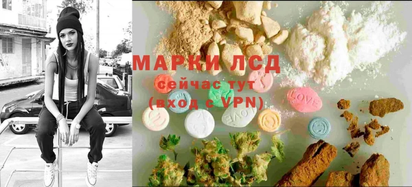 стаф Белоозёрский